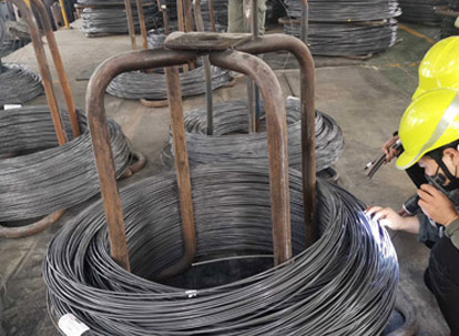 الكشف عن المظهر-في الموقع